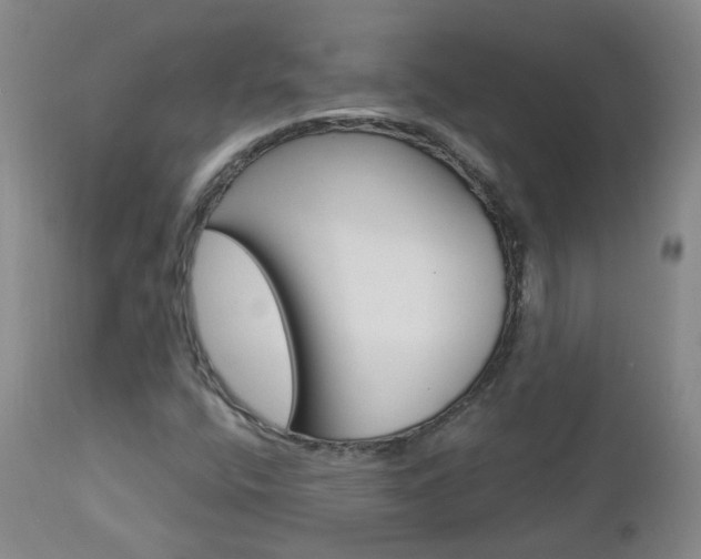 X0000112861400200908211044