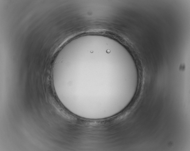 X0000112861401200908211044