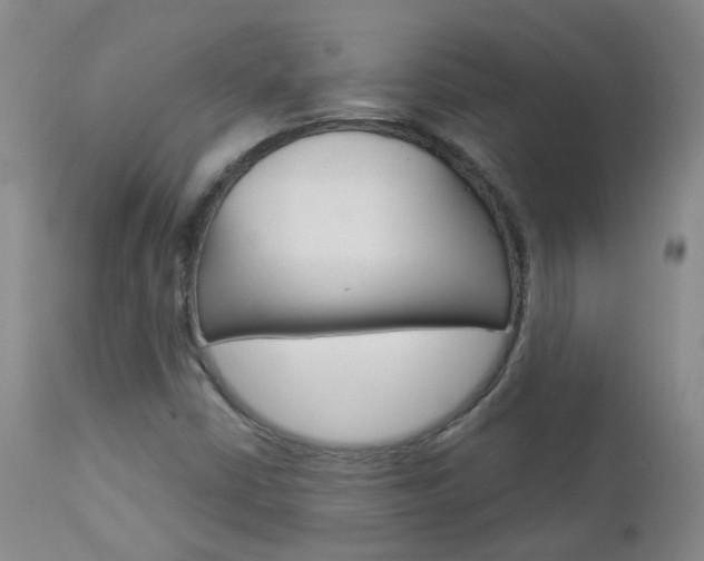 X0000112861402200908211044