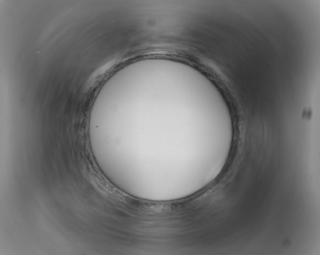 X0000112861403200908211044