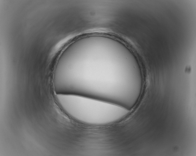 X0000112861406200908211044