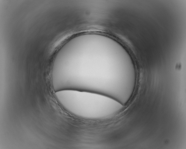 X0000112861407200908211044