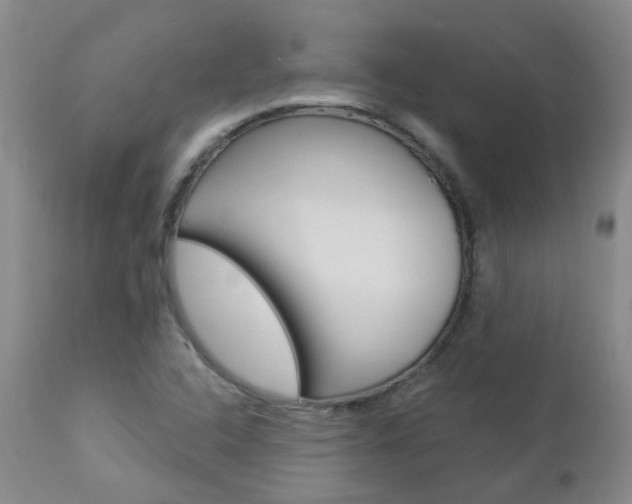 X0000112861408200908211044