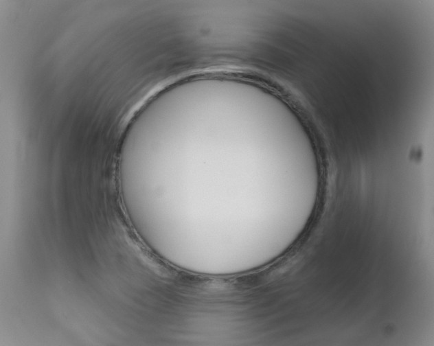 X0000112861409200908211044