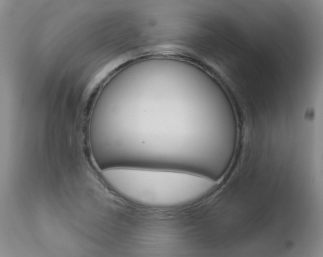 X0000112861410200908211044