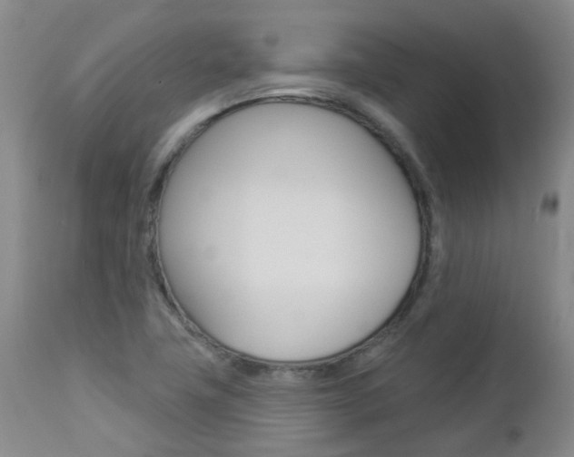 X0000112861411200908211044