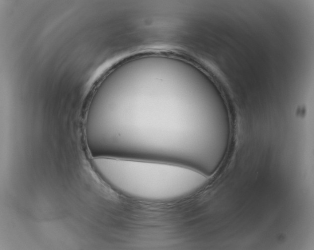 X0000112861412200908211044