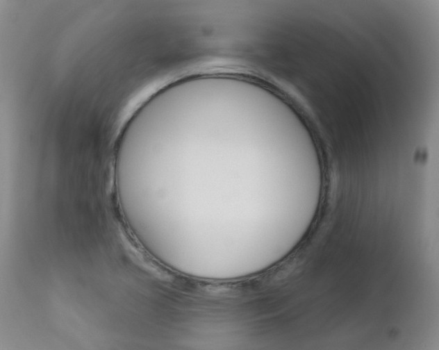 X0000112861413200908211044