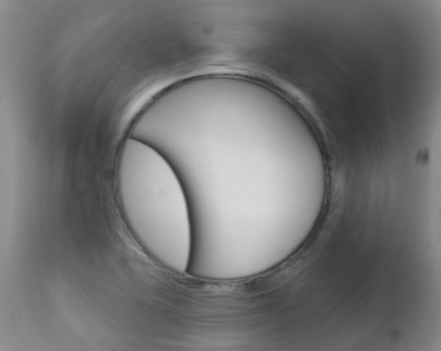 X0000112861415200908211044