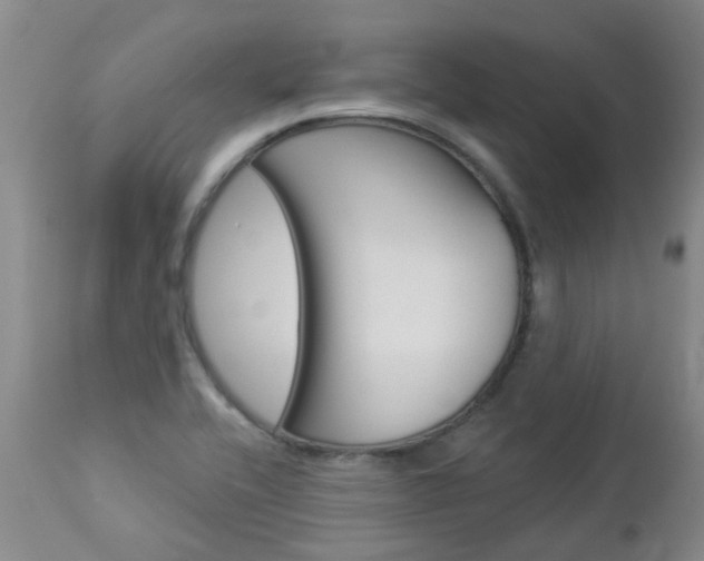 X0000112861416200908211044