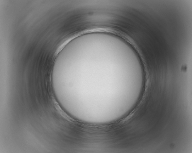 X0000112861417200908211044