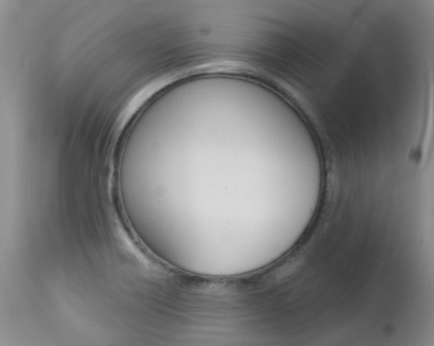 X0000112861418200908211044