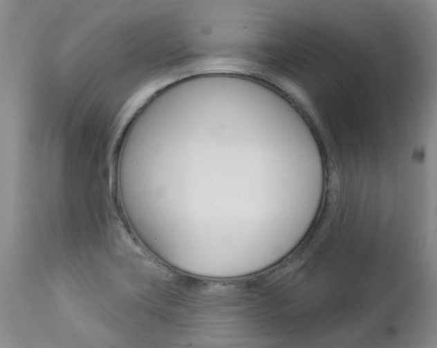 X0000112861419200908211044