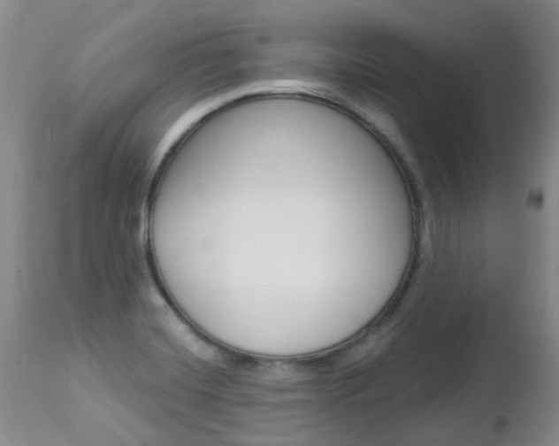 X0000112861420200908211044