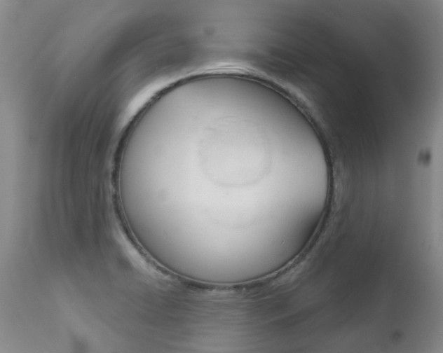 X0000112861422200908211044