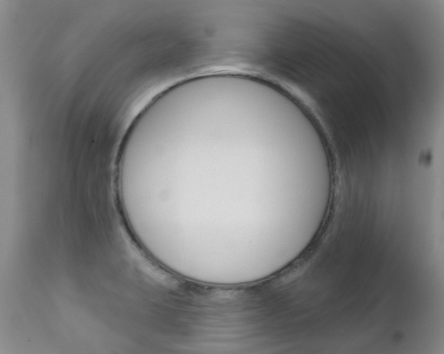 X0000112861423200908211044