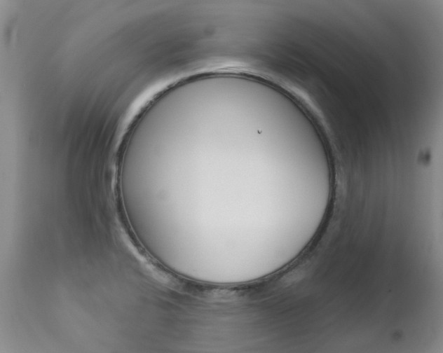 X0000112861424200908211044