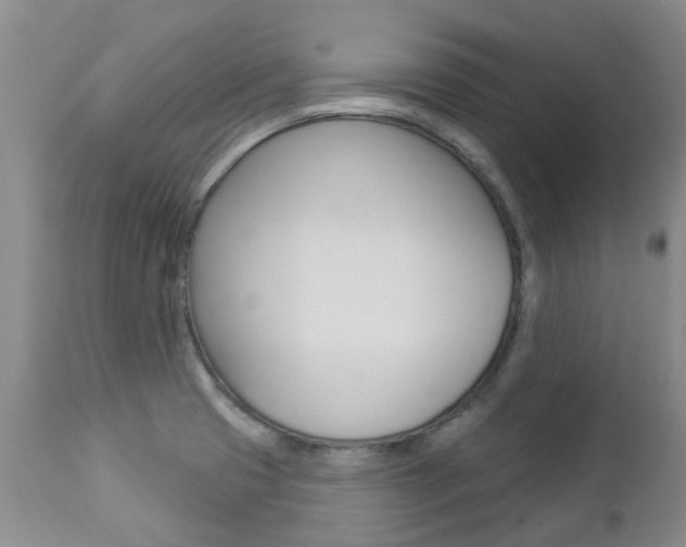 X0000112861425200908211044