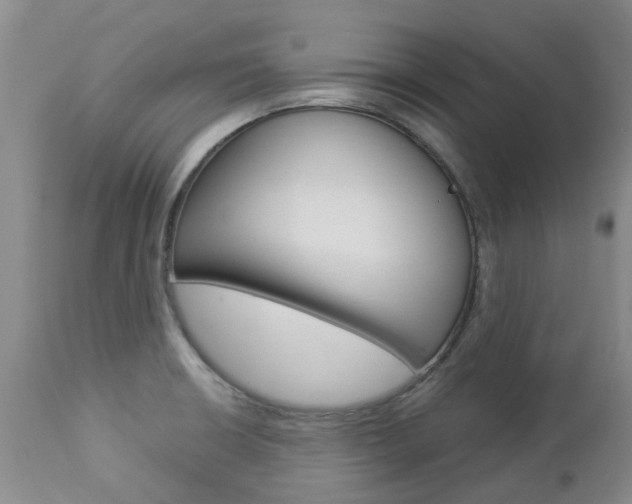 X0000112861426200908211044