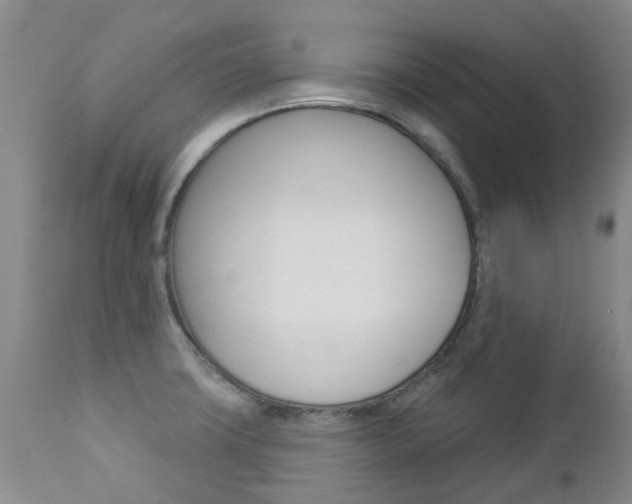 X0000112861427200908211044