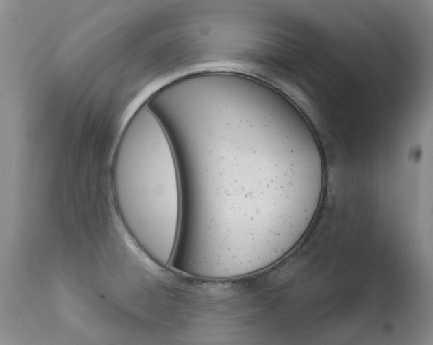 X0000112861428200908211044