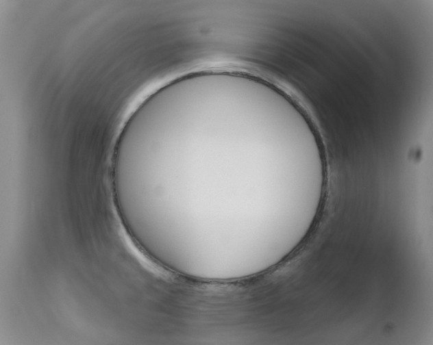 X0000112861429200908211044