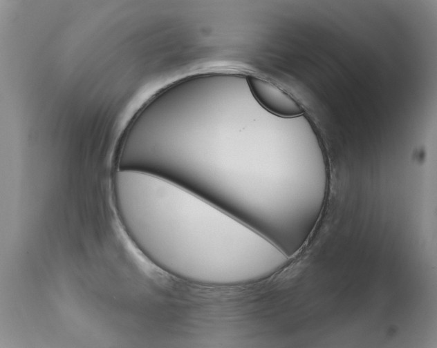 X0000112861430200908211044