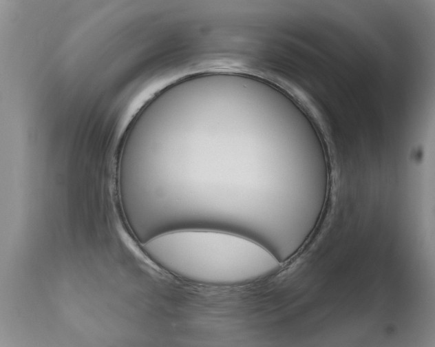 X0000112861432200908211044