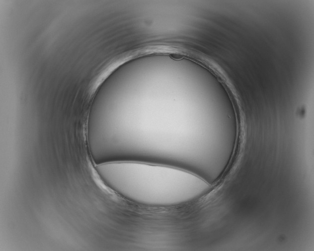 X0000112861433200908211044