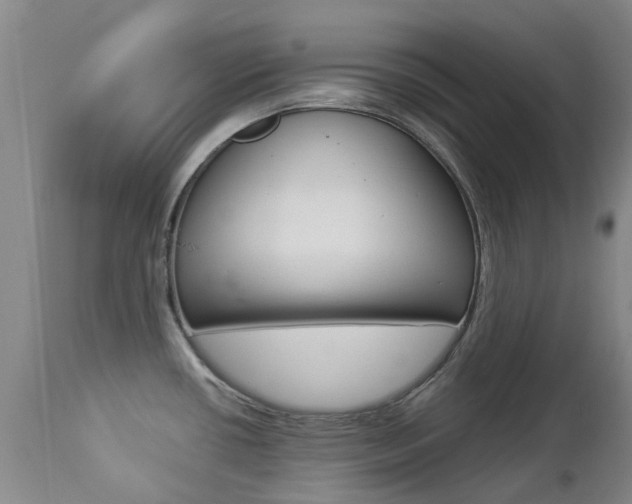 X0000112861434200908211044