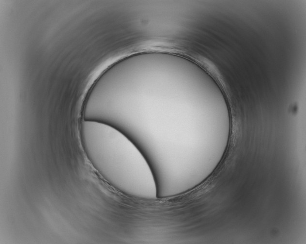 X0000112861435200908211044