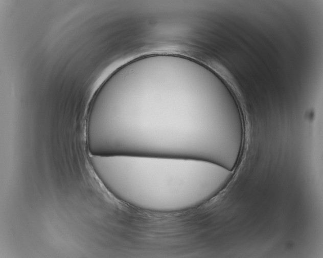 X0000112861436200908211044