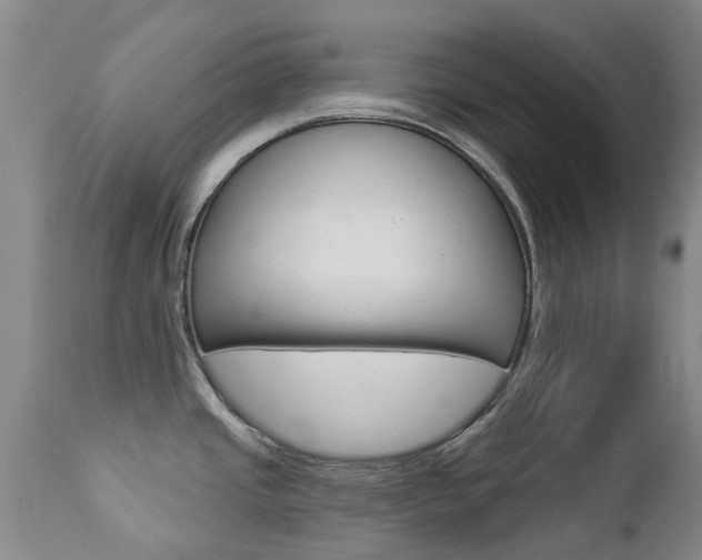 X0000112861437200908211044