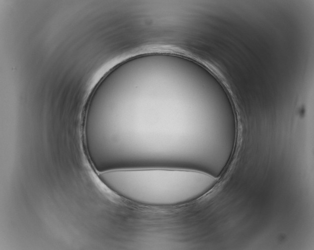 X0000112861438200908211044