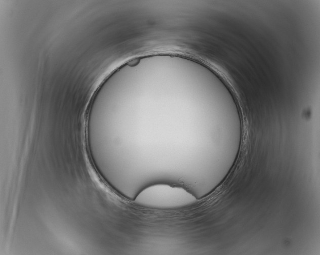 X0000112861439200908211044
