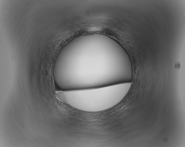 X0000112861441200908211044