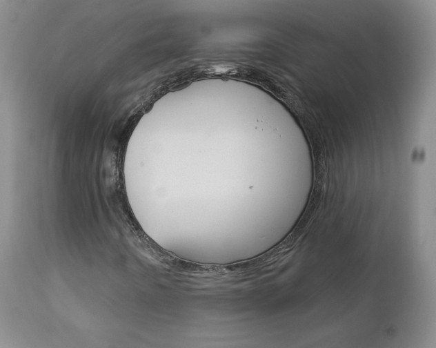 X0000112861442200908211044