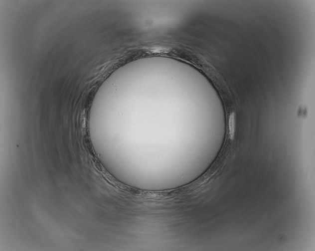 X0000112861443200908211044