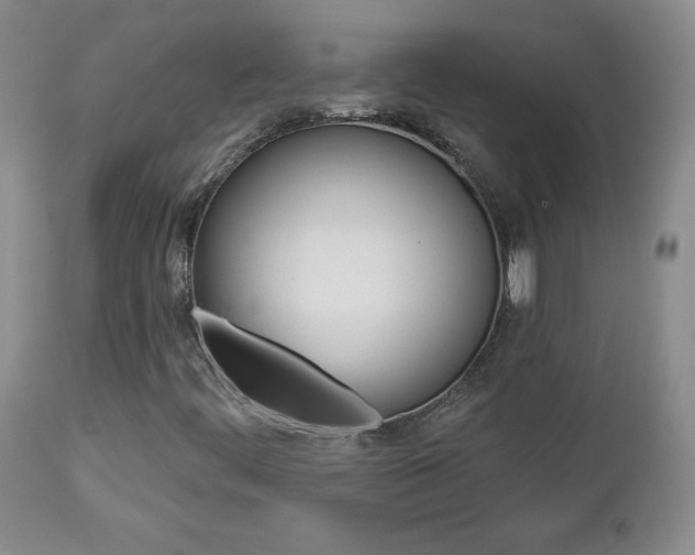 X0000112861444200908211044