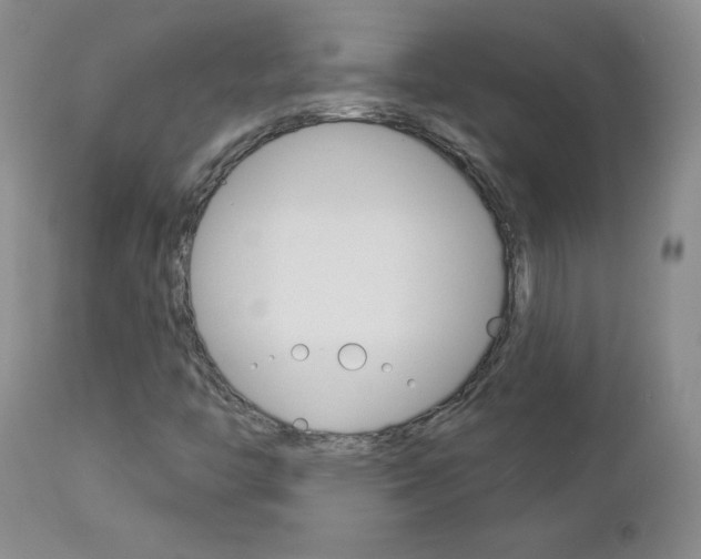 X0000112861446200908211043