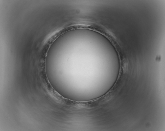 X0000112861448200908211043