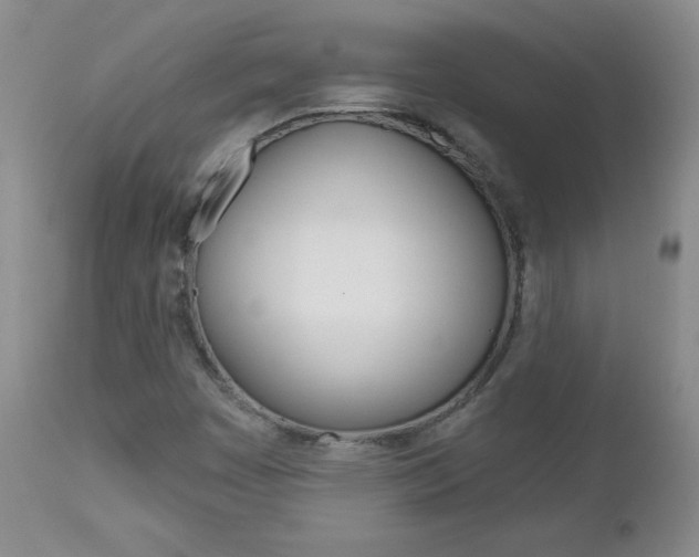 X0000112861449200908211043