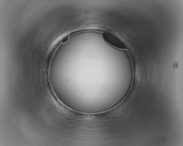 X0000112861452200908211043