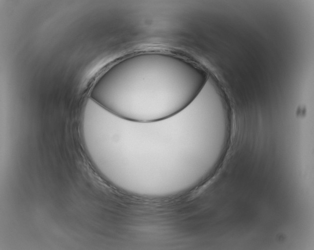 X0000112861453200908211043