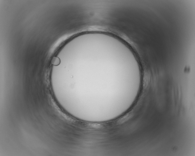 X0000112861454200908211043