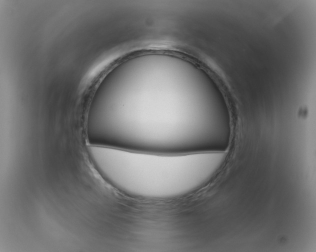 X0000112861456200908211043