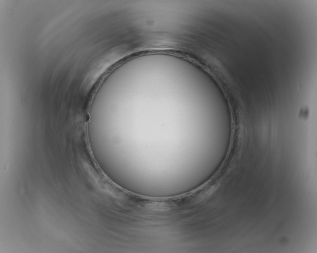X0000112861457200908211043