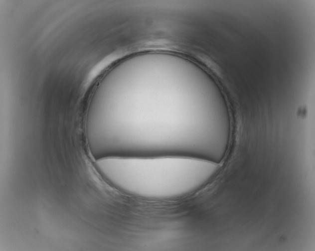 X0000112861458200908211043