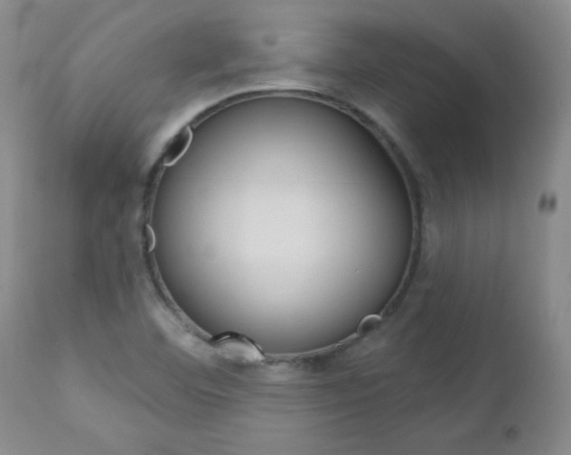 X0000112861460200908211043
