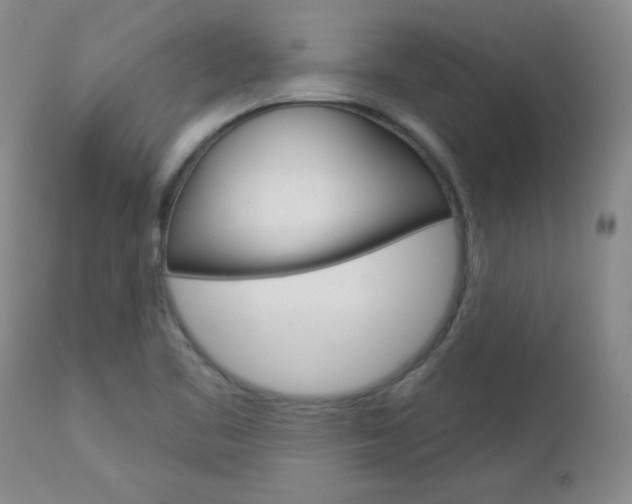 X0000112861461200908211043